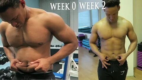 How to Lose Stubborn Belly Fat in 2 Weeks Student Shredding 2.6 - YouTube.