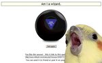 Magic 8 Ball Sayings And Quotes. QuotesGram