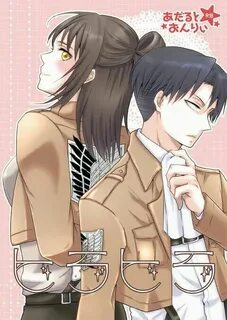 Do u think levi is better shiping with female eren or male e