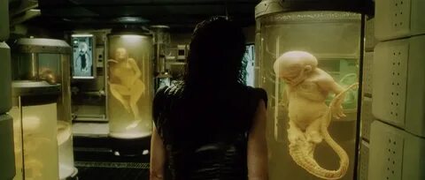 Alien: Resurrection Ballet shoes, Sport shoes, Alien resurre