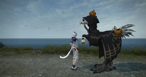 Newest Chocobo Barding Ffxiv 10 Images - Evangeline Lafontai