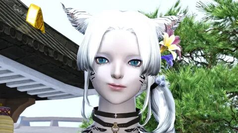 HD Au Ra Reptile and Miqo'te Cat Eyes XIV Mod Archive