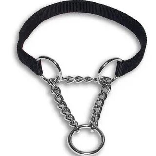 Nylon Martingale Dog Collar Made of 2 ply Nylon for Ddurabil