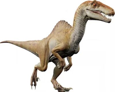 Spinoraptor Jurassic World Evolution Wiki Fandom