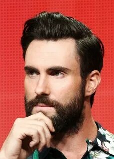 Adam Levine…and a beard Barbe sans moustache, Barbu, Cheveux