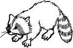 Raccoon Coloring Pages Animal Cartoon Animals Printable Clip