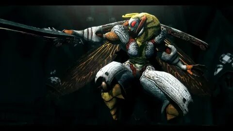 Dmc 4 agnus