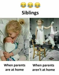 Siblings Funny baby memes, Sister quotes funny, Funny baby q