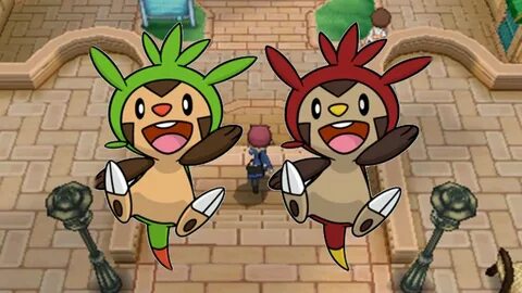 Live! (Live Reaction) Shiny Chespin On Pokemon X After 2006 