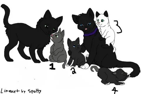 View topic - Scourge and Hollyleaf Plus Kits! You can Adopt!