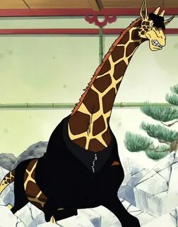 Datei:Kaku Giraffe.jpg - OPwiki - Das Wiki für One Piece