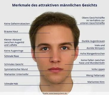 Merkmale des attraktiven männlichen Gesichts Dunkle augenbra