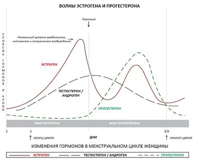 Посты с тегами Женская логика, Мужчины и женщины - страница 