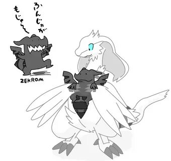 Reshiram and zekrom by kushina13 -- Fur Affinity dot net