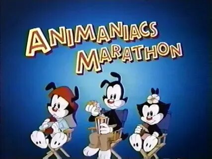 Animaniacs Marathon The Cartoon Network Wiki Fandom