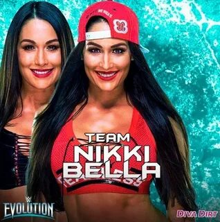 I’m with Nikki Bella ❤ Nikki bella, Nikki and brie bella, Ni