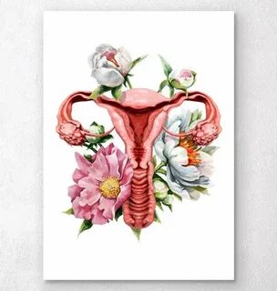 Uterus anatomy - Floral - White Беременность искусство, Анат