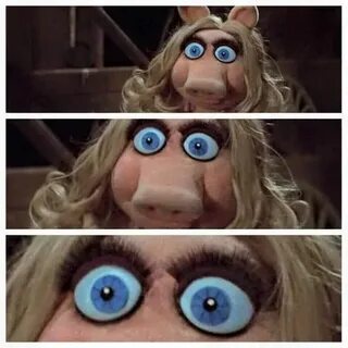 Miss Piggy Eyes, Shock, Confusion, Zoom In, Realization Miss