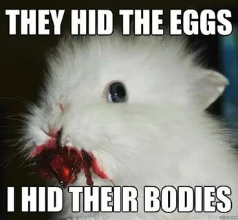 fluffy bunny Easter humor, Funny easter bunny, Happy easter 