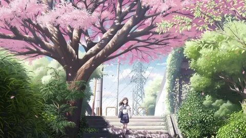 Peaceful Anime Pics Related Keywords & Suggestions - Peacefu