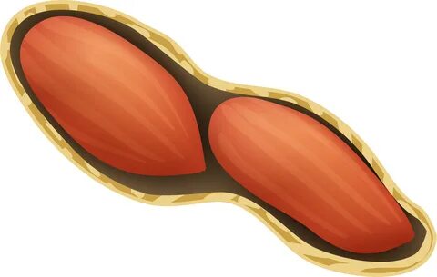 Clipart Peanut Png Transparent Png - Full Size Clipart (#215