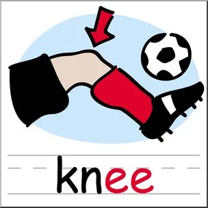 Knee clipart, Picture #13741 knee clipart