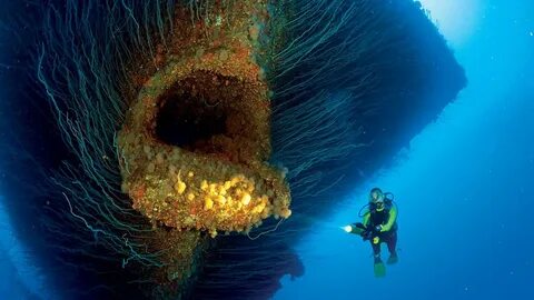 divers, Women, Nature, Sea, Water, Underwater, Shipwreck, Co