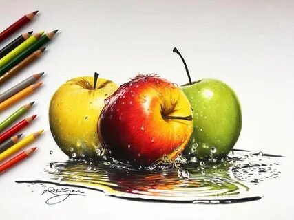 Robin Gan Fruit art drawings, Colored pencil artwork, Color 