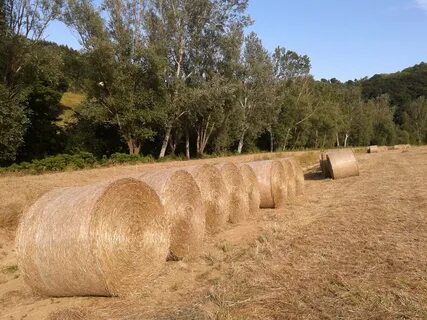 Bales straw campaign landscape sky free image download