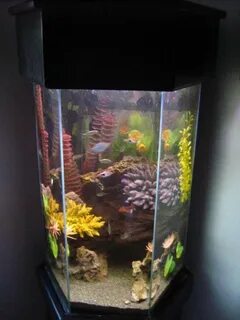 20 gallon hexagon aquarium - How To Buy 20 Gallon Long Aquar