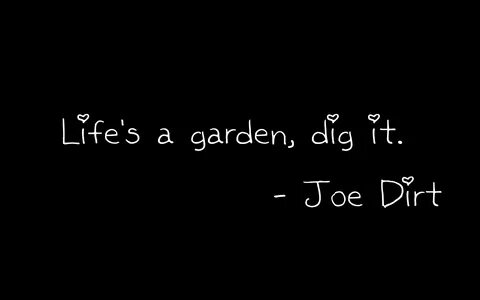 Joe Dirt Quotes. QuotesGram