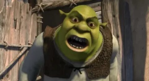 Shrek Yelling Related Keywords & Suggestions - Shrek Yelling