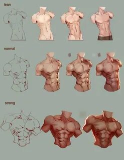 Tutorial male turso Art reference poses, Art reference, Anat