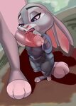 Zootopia porn :: Judy Hopps (Джуди Хопс) :: Bugs Bunny (Багз