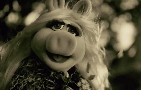 Watch The Muppets Parody Adele’s "Hello" Video