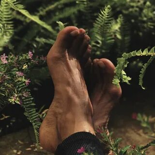 Halle Berry's Feet wikiFeet