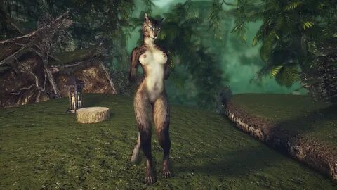 Sexy Good Female Khajit Textures Request Find Skyrim 21424 T