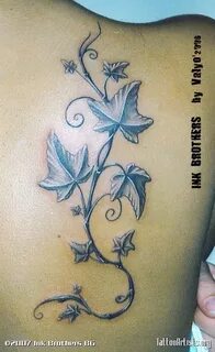 Vine tattoos, Ivy tattoo, Baby tattoos
