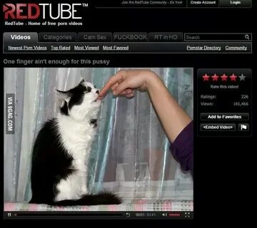 Redtube had the best pussy porn - 9GAG