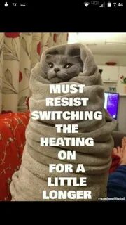 Pin by Judy Quinn on Funny Hvac humor, Cold weather funny, C