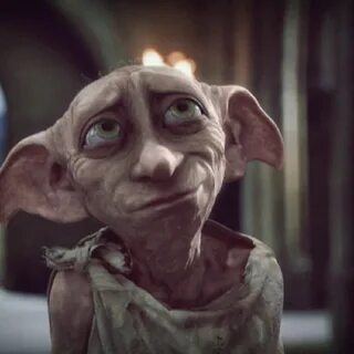 This guy 😍 Dobby harry potter, Harry potter characters, Harr
