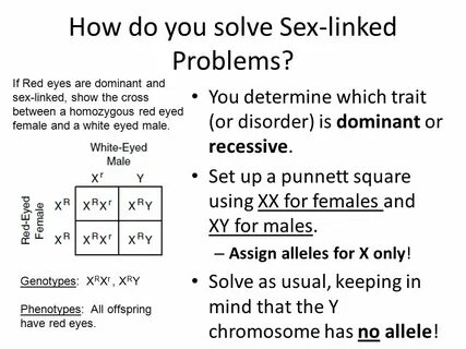 Sex Linked Inheritance - ppt video online download