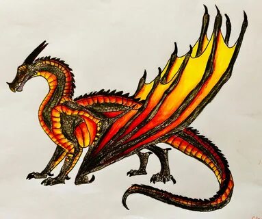 NightWing/SkyWing Hybrid Wings of fire dragons, Wings of fir