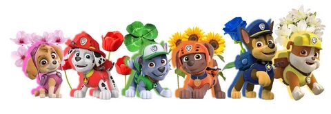 Paw Patrol All Character Png Kids 11 - Mobile Legends