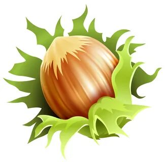 Hazelnut PNG Clipart Image Gallery Yopriceville - High-Quali