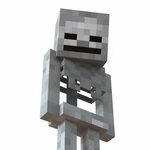 Minecraft Characters Skeleton