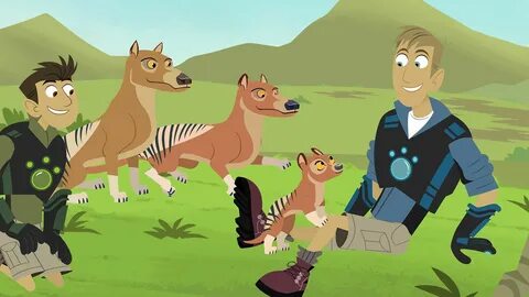 Wild Kratts Lion Wallpapers - Wallpaper Cave