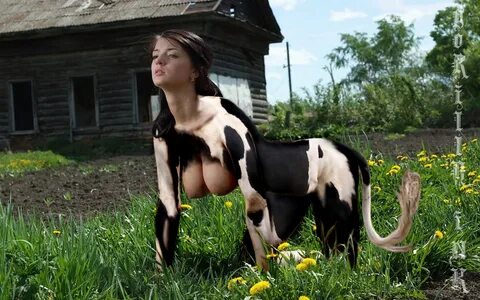 Naked Cows Having Sex With Other Cows - Porn Photos Sex Vide