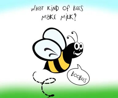 What kind of bees make milk? Boobees! Call A1 Bee Specialist