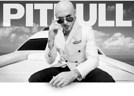 Street Rapper Pitbull Pitbulls, Music poster ideas, Rapper